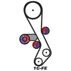 Timing Belt Kit & Water Pump For Lexus IS200 (1G-FE)