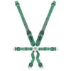 Takata Race 6 - 6 Point FIA HANS Harness - Green