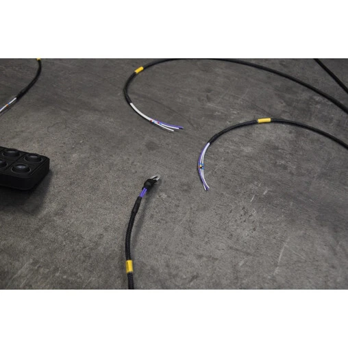 Universal Chassis Harness With PDM & Keypad - Image 7